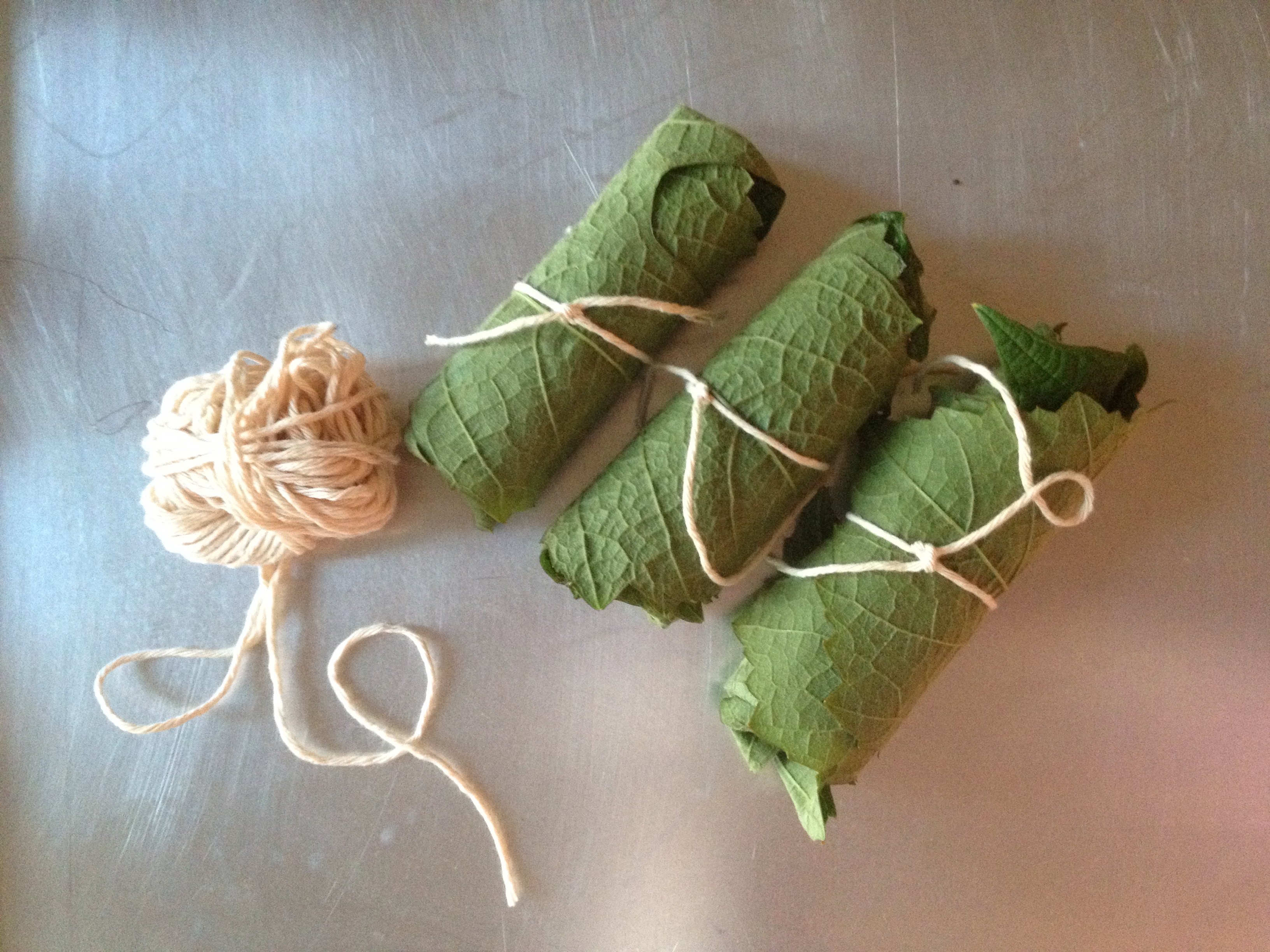 Pick and Preserve Grape Leaves