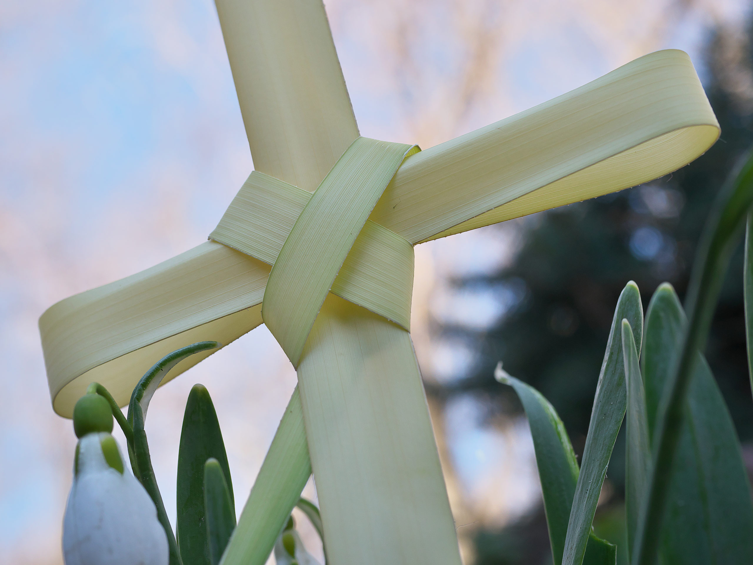 Greek Orthodox Palm Sunday Religious Service Overview