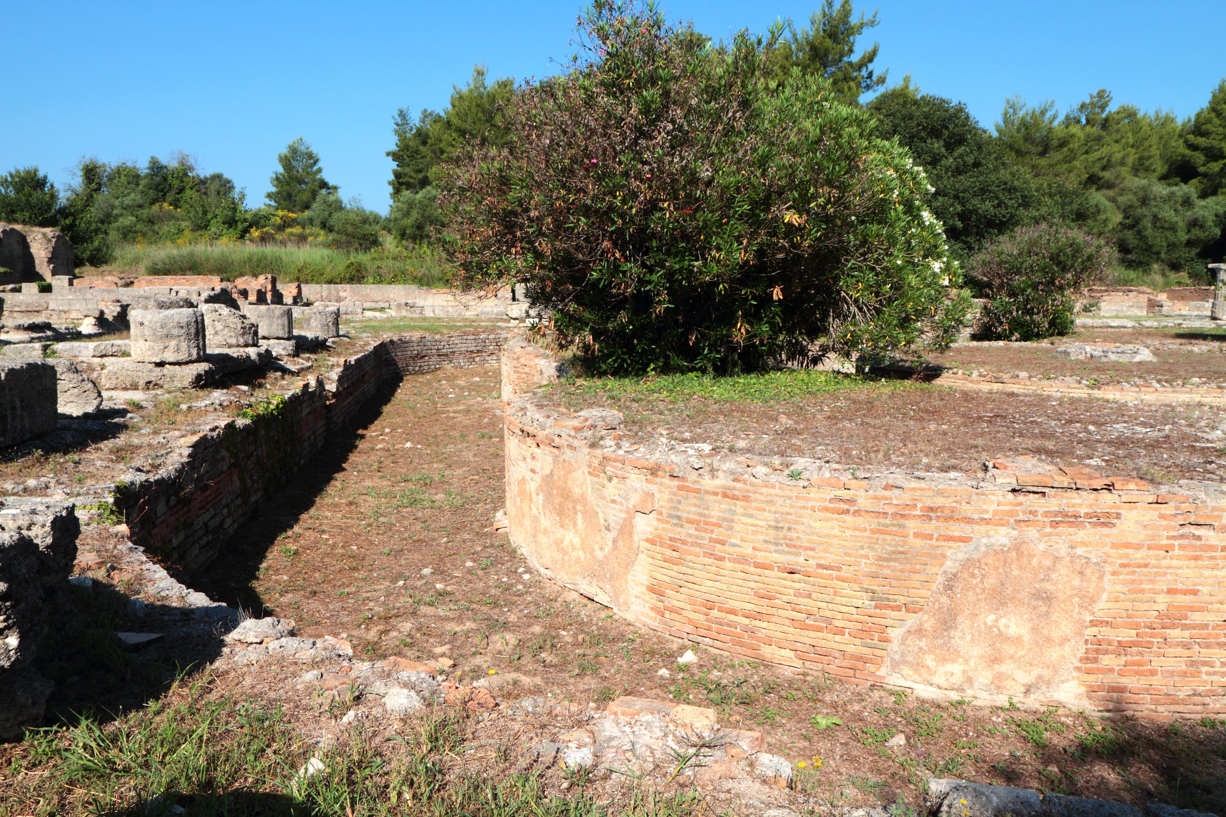 The Ancient Olympic Games in Ancient Greece