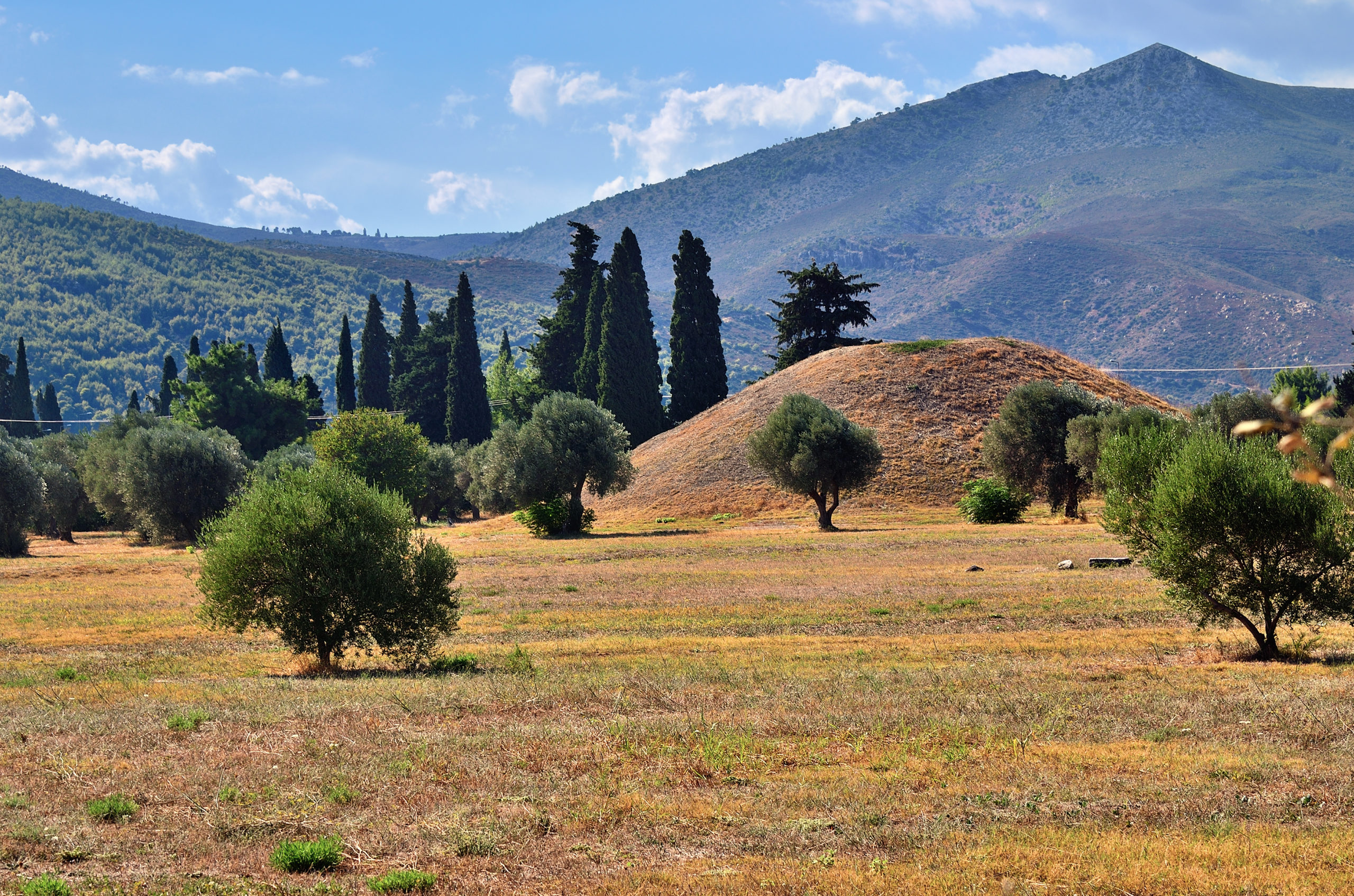 Tour the Marathon Run Museum in Marathon, Greece