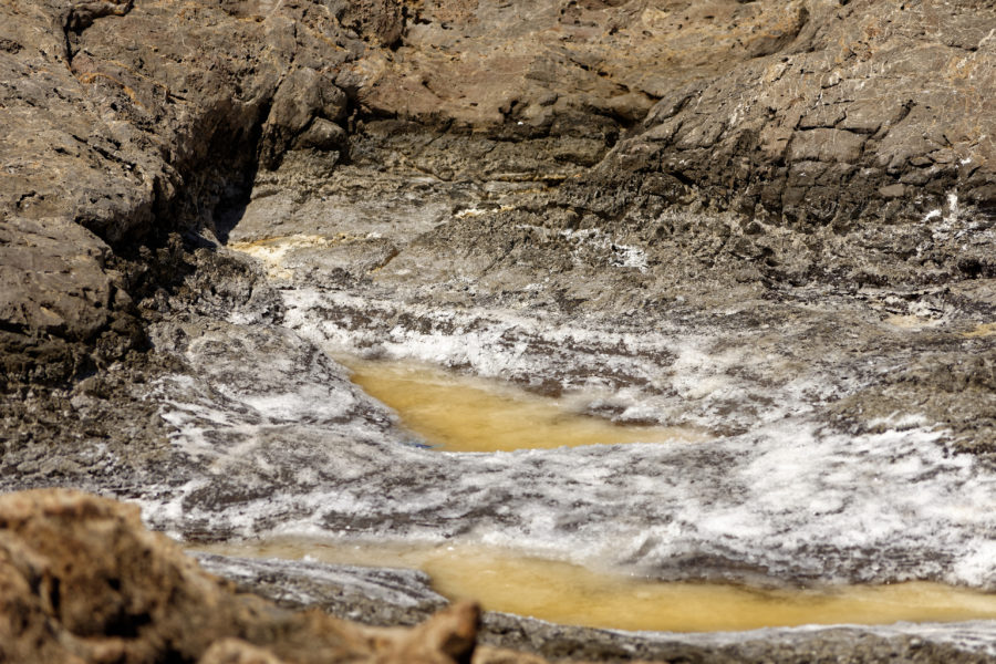 Why You Should Use Greek Sea Salt