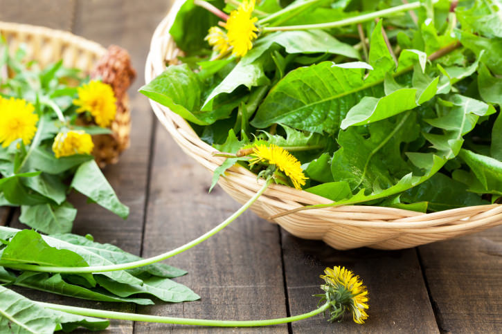 dandelion leaves and flowers