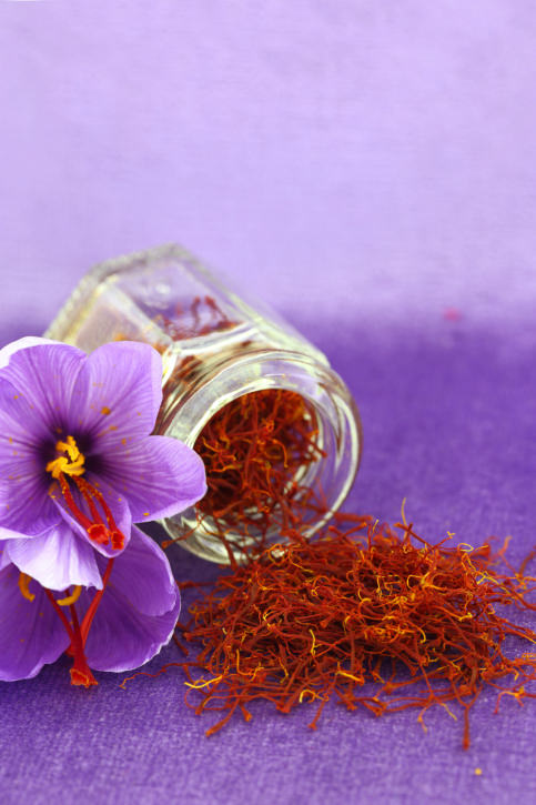 Dried saffron spice and flower