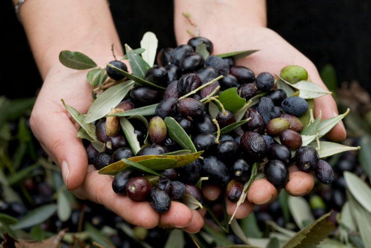 Hand in olives