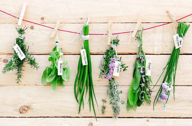 Hanging Herbs