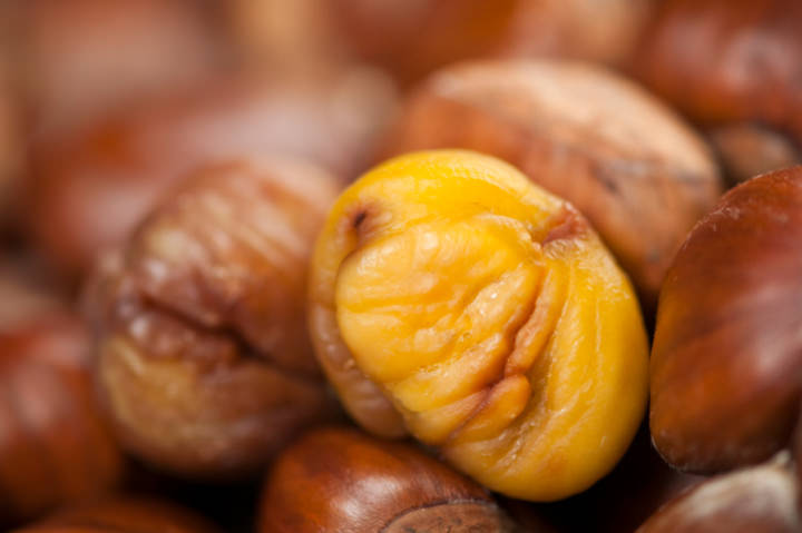 single peeled roasted chestnut kernel with others waiting