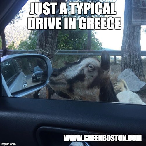  Greek  Memes Funny  Travel and Food Memes