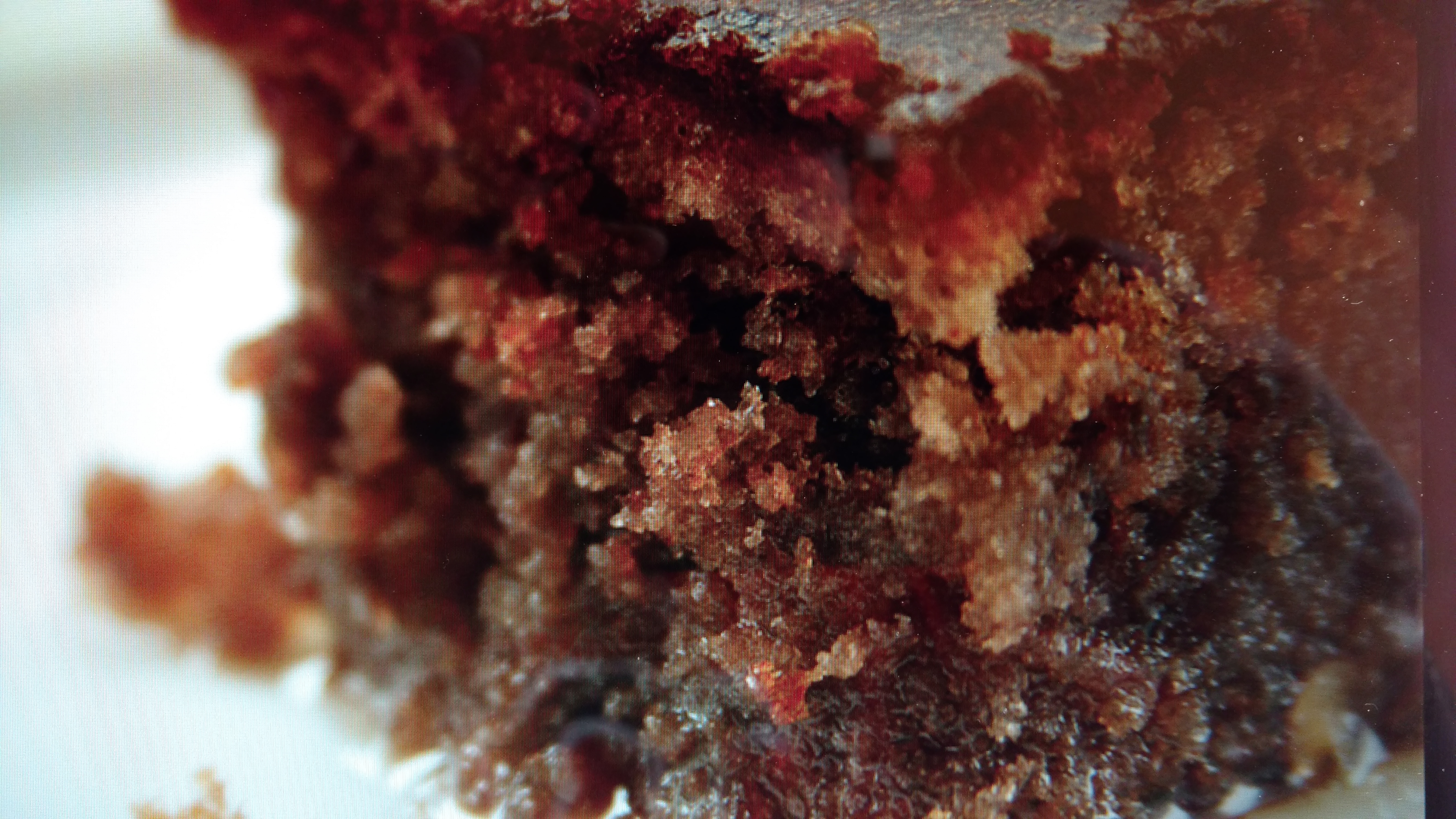 orthodox-lenten-cake-recipes-blog-dandk