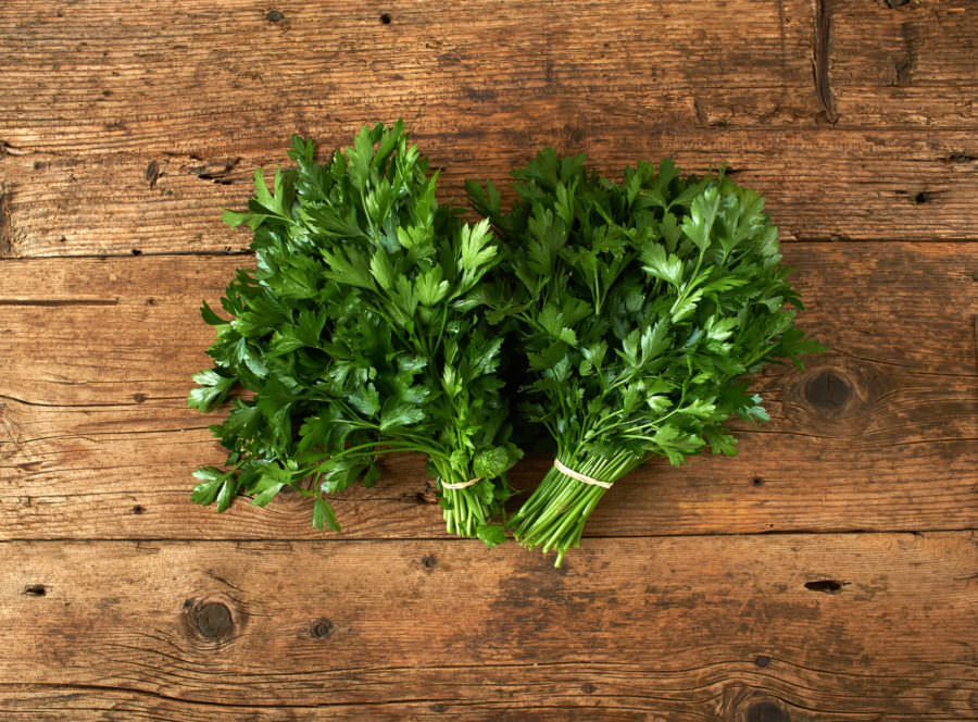Greek Parsley Cooking and Medicinal Info