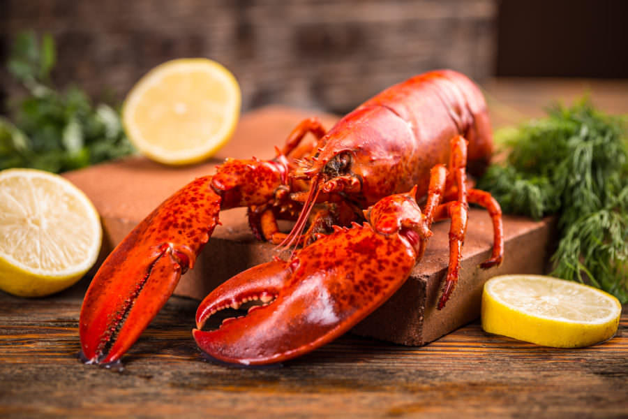 Recipe for Greek Boiled Lobster