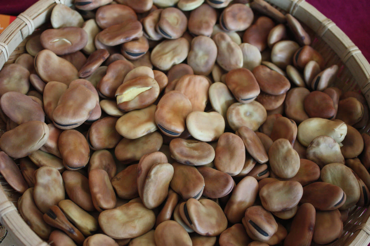 Recipe for Greek Style Fava Beans With Lemon