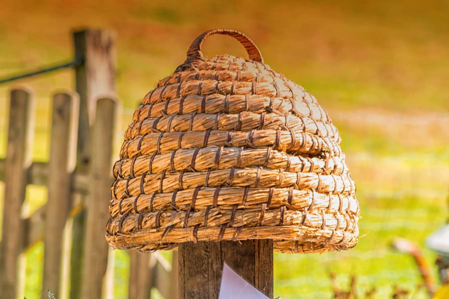 Aristaeus Greek Minor God of Beekeeping