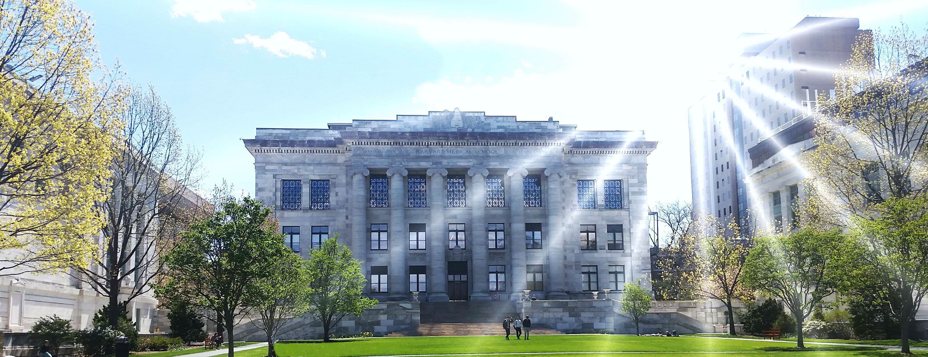 Greeks in Academia and Industry in the US