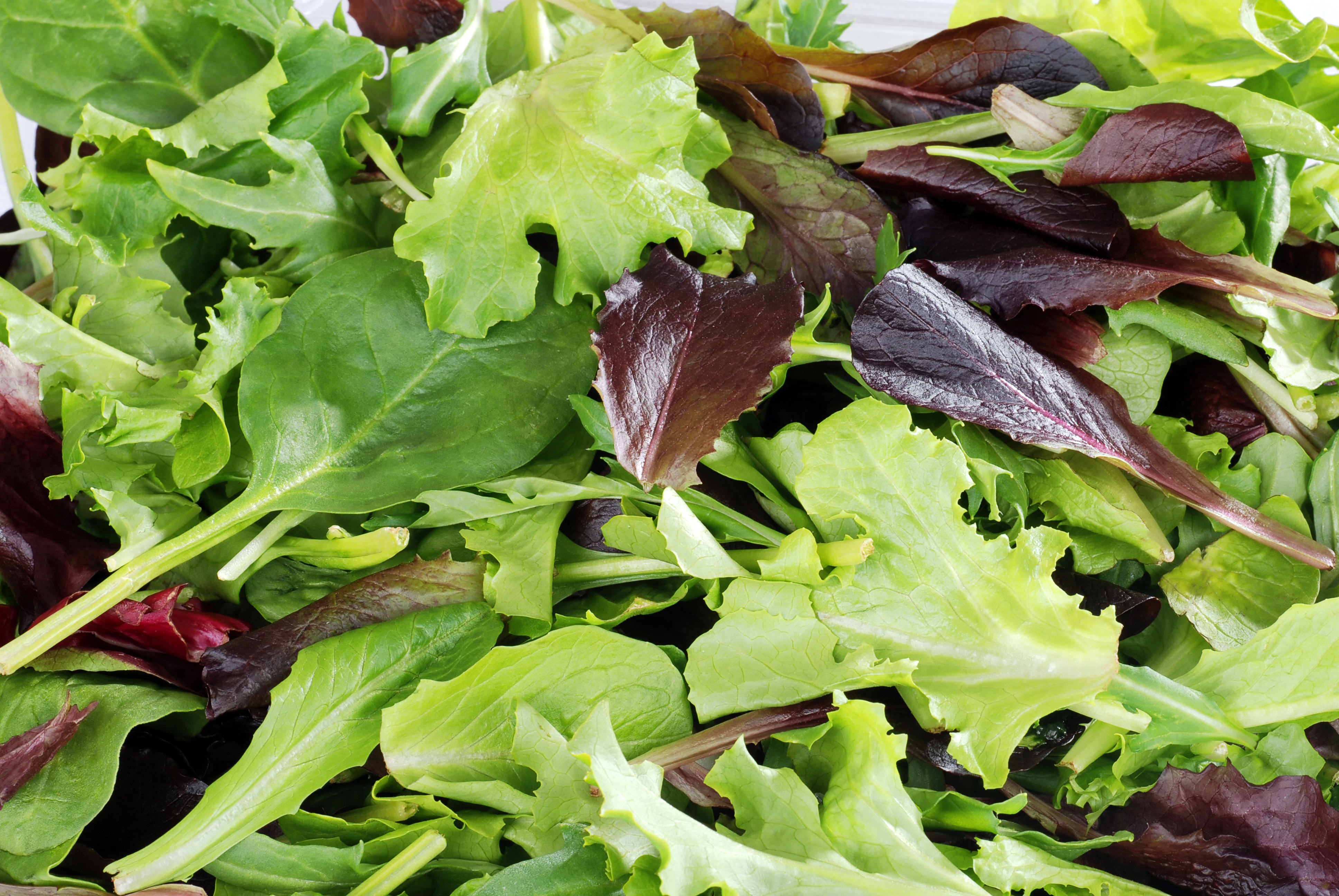 https://www.greekboston.com/wp-content/uploads/2018/03/Greens-Salad.jpg